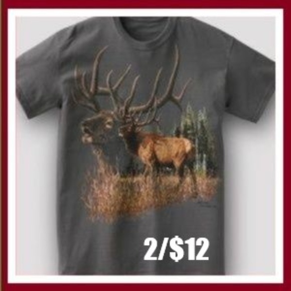 Other - Wildlife Adventure Tees(M)